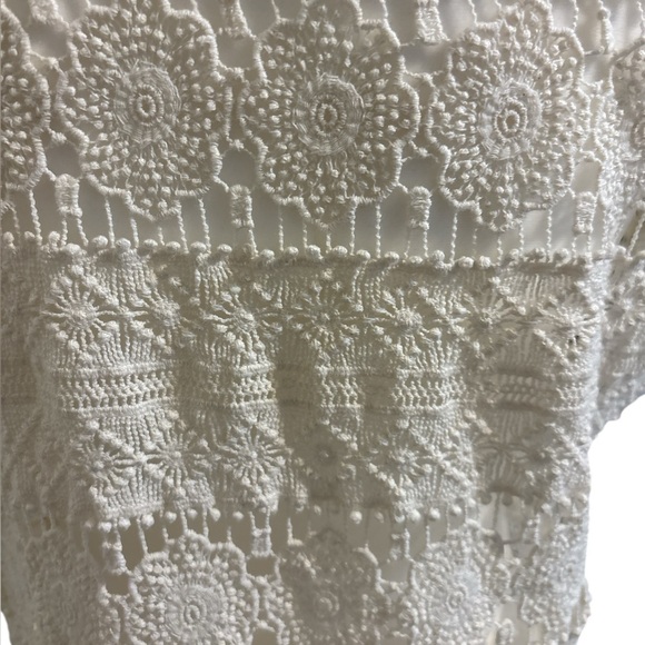 Lili’s Closet for Anthropologie Keren Top - Size Small Ivory Crocheted Sheer - Picture 6 of 9